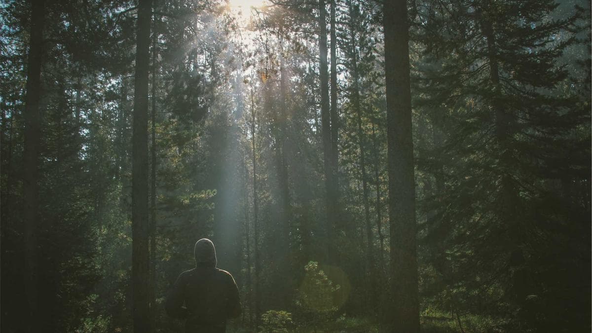 Community Garden Day Bamberg – photo 2