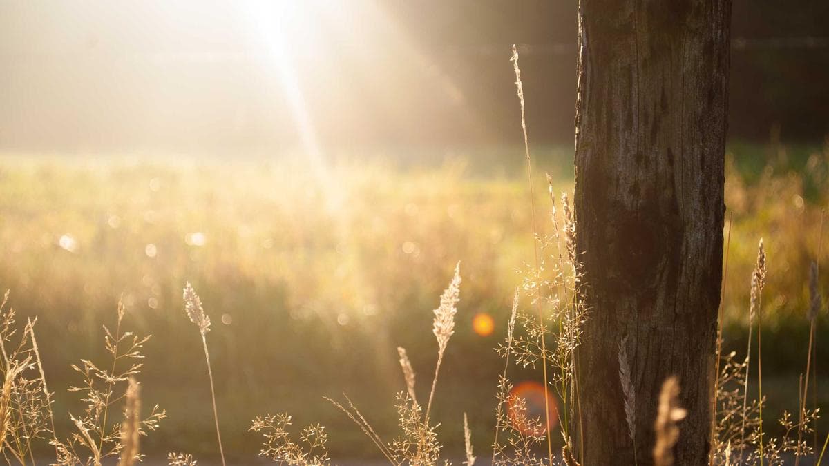 Rooftop Sundowner Bamberg