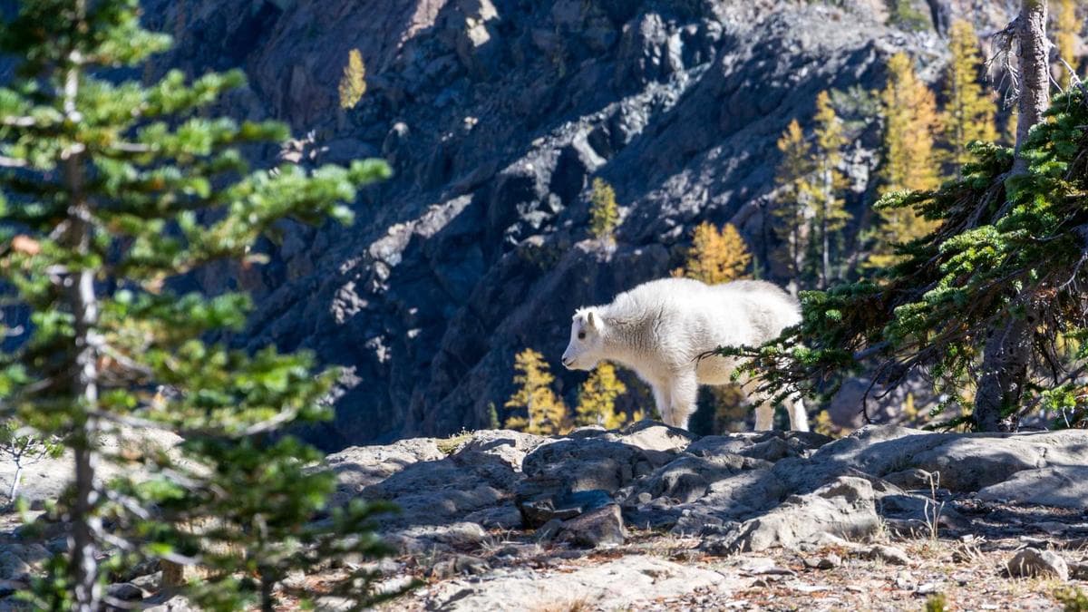 Outdoor Fitness Session Bamberg – Foto 2