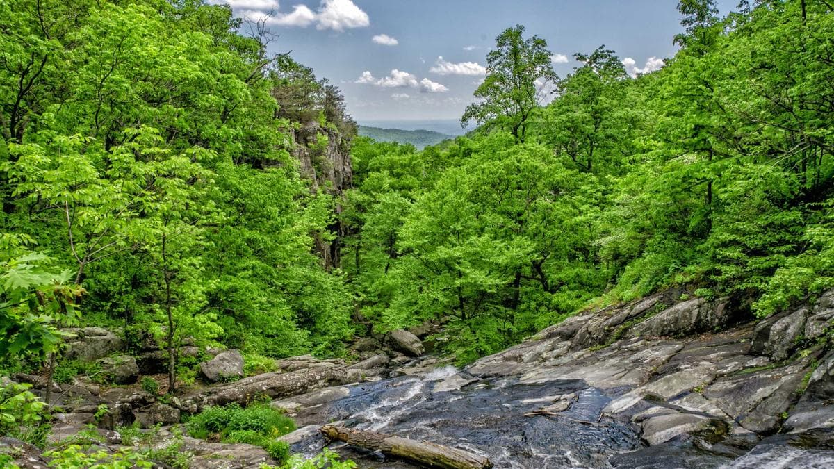Student Startup Pitch Bamberg