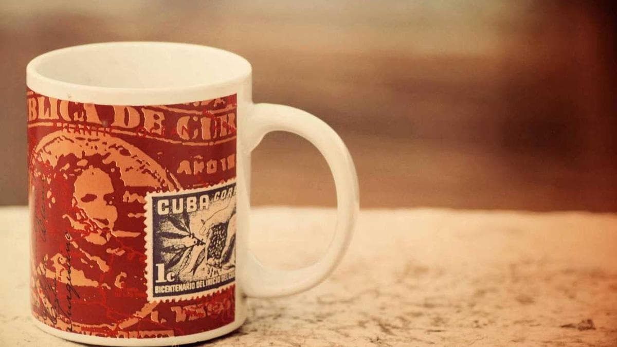 Salsa Social Berlin – photo 2