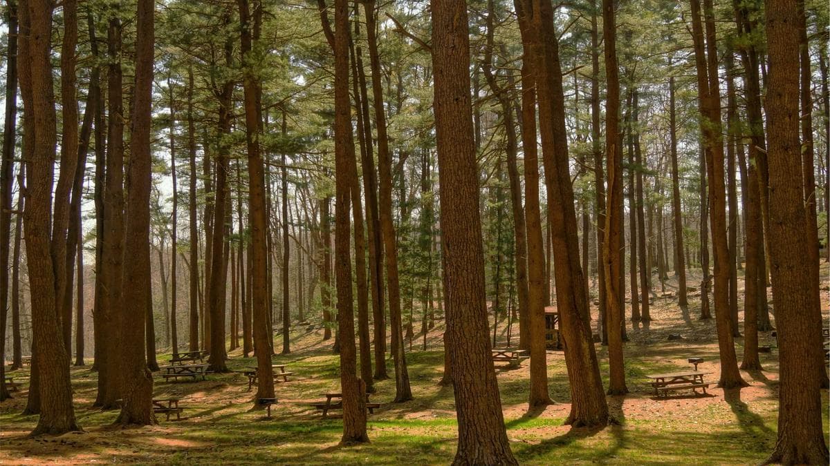 Board Game Evening Berlin – photo 2