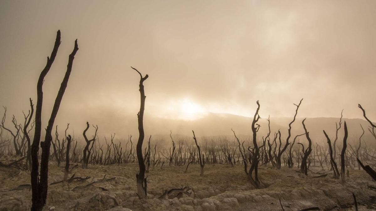 Outdoor Fitness Session Berlin – photo 2