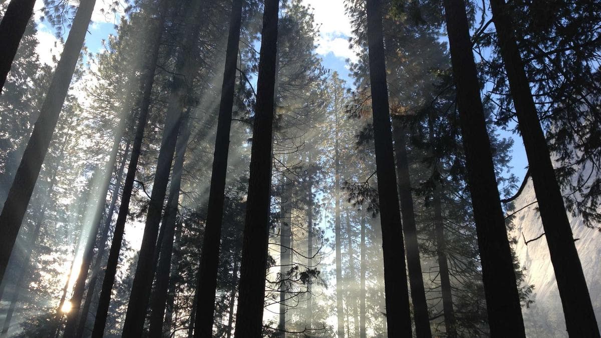 Kleidertausch Bonn – Foto 2