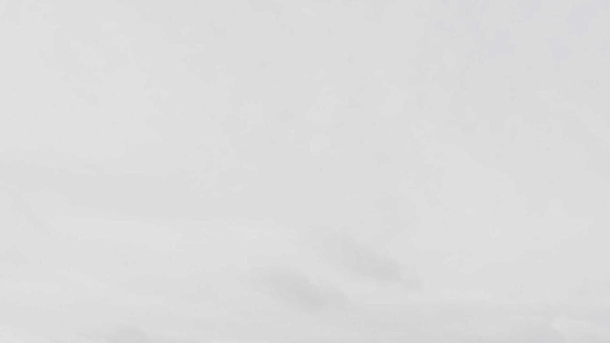 Salsa Social Bonn – photo 2