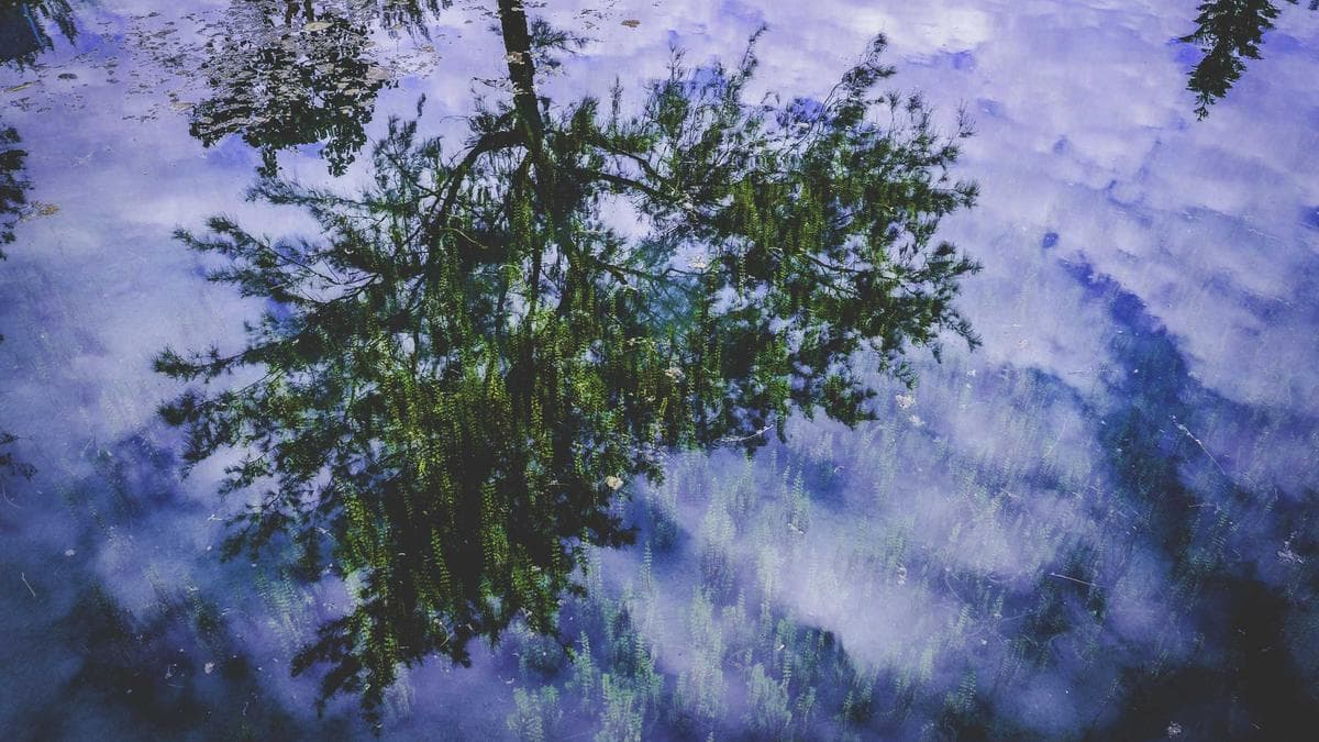 Urban Dance Jam in Bonn