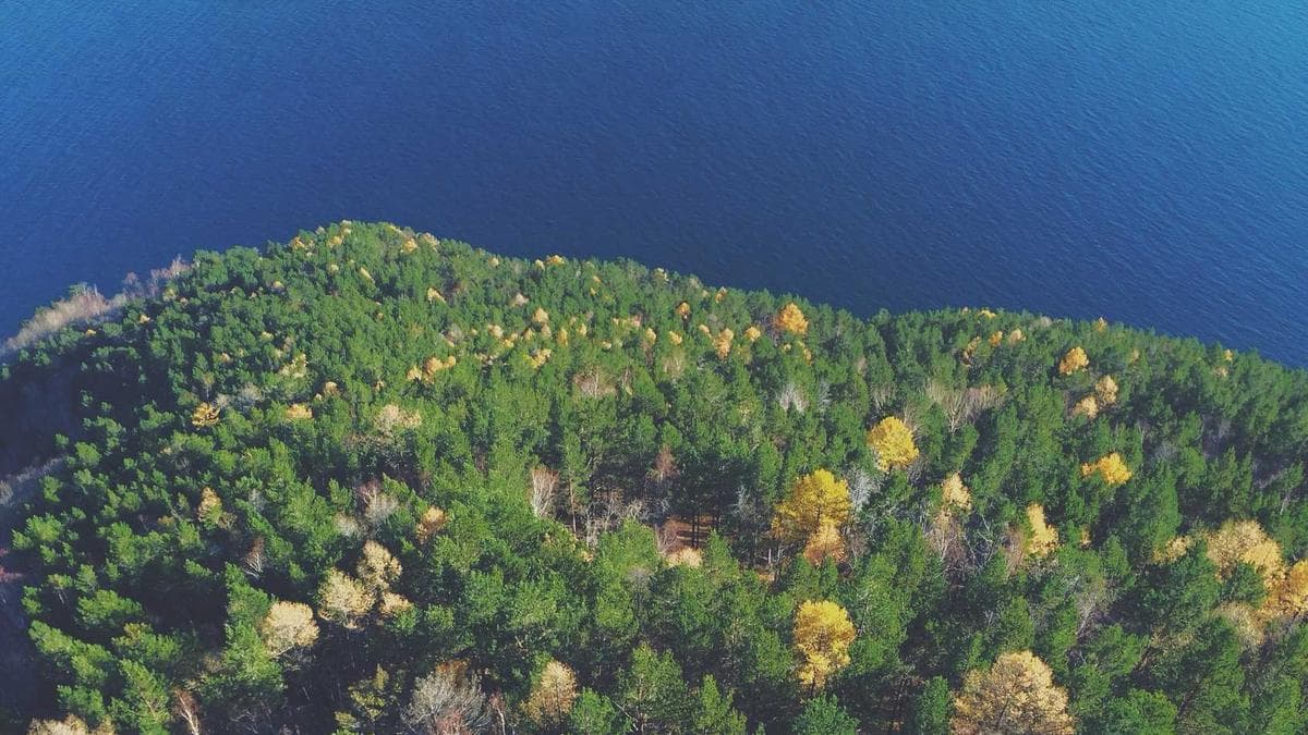 Craft Beer Flight Bonn – photo 2