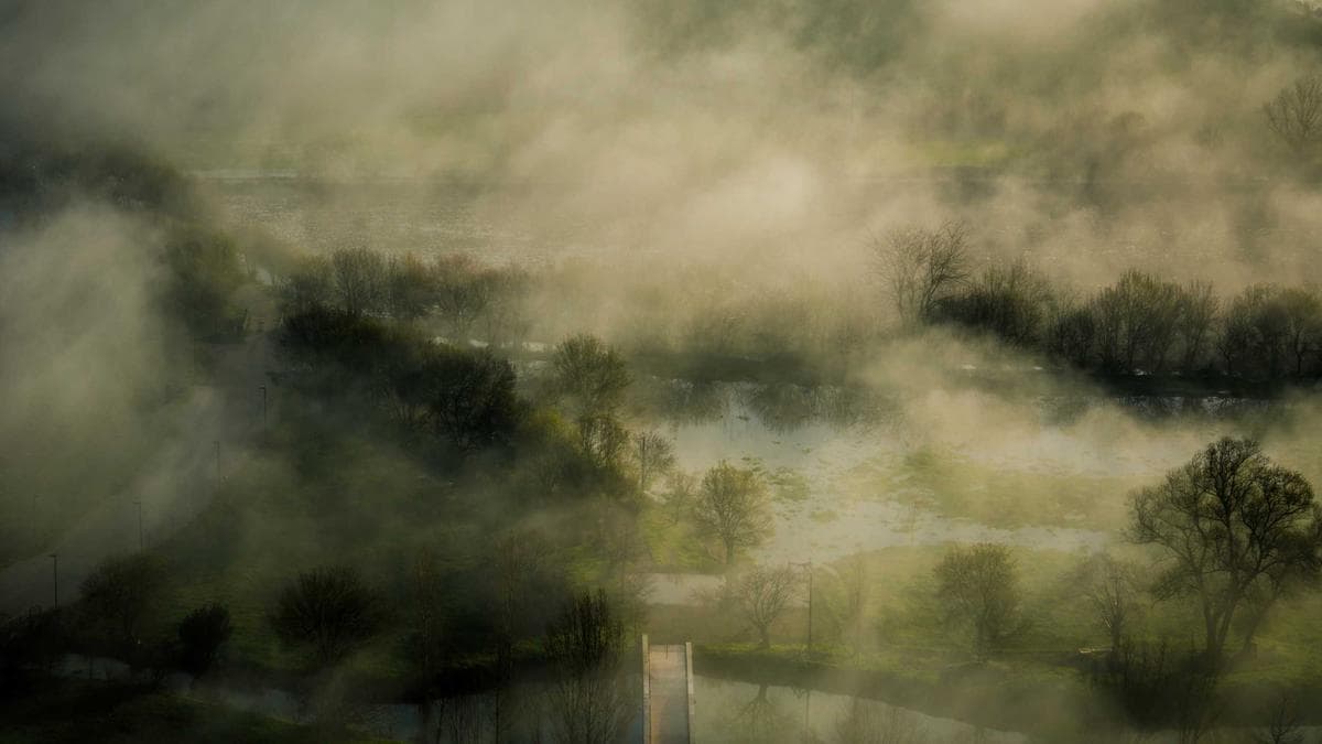 Kurzfilmabend Bremen