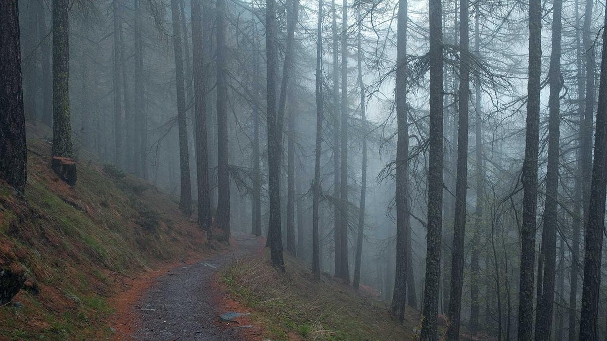 Open-Air Konzert in Bremen – photo 2