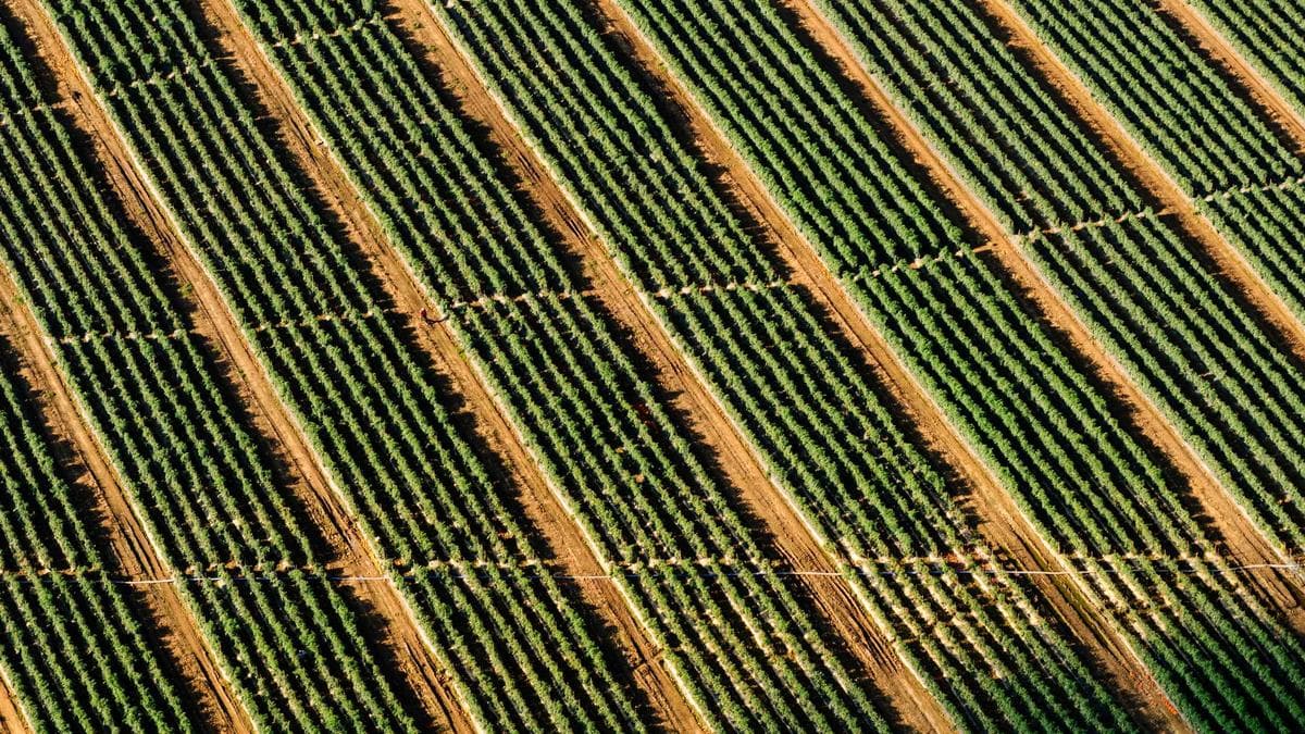 Lesung und Gespräch in Chemnitz – photo 2