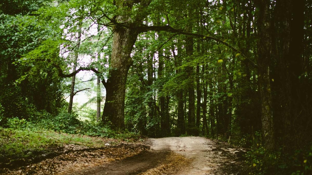 Urban Dance Jam in Chemnitz – photo 2