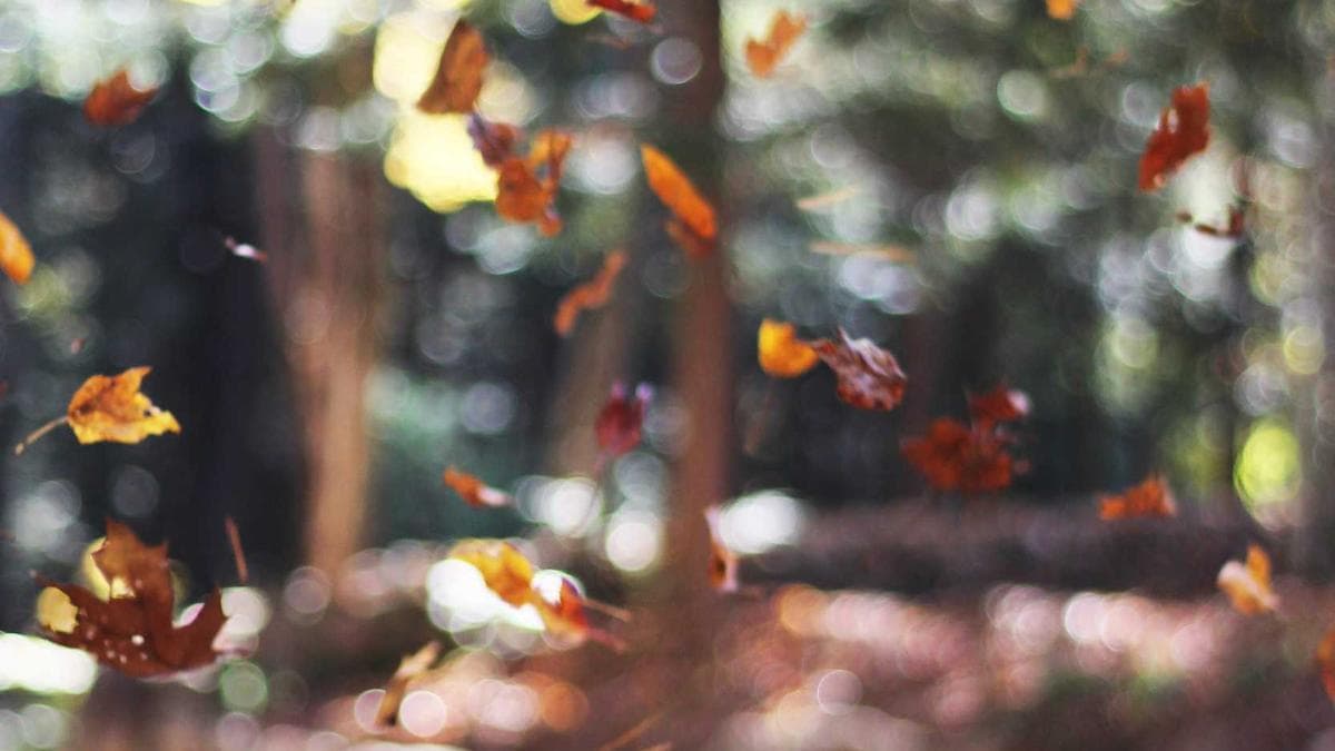 Board Game Evening Cottbus – photo 2