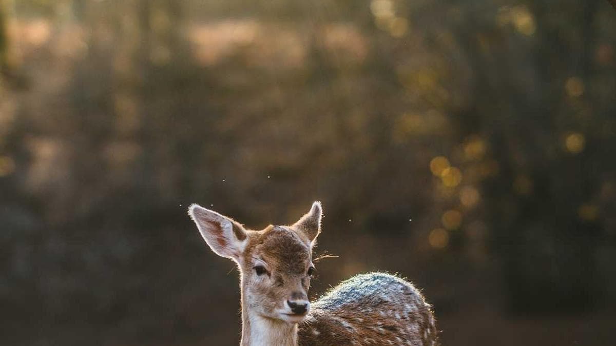 Creative Meetup Dresden