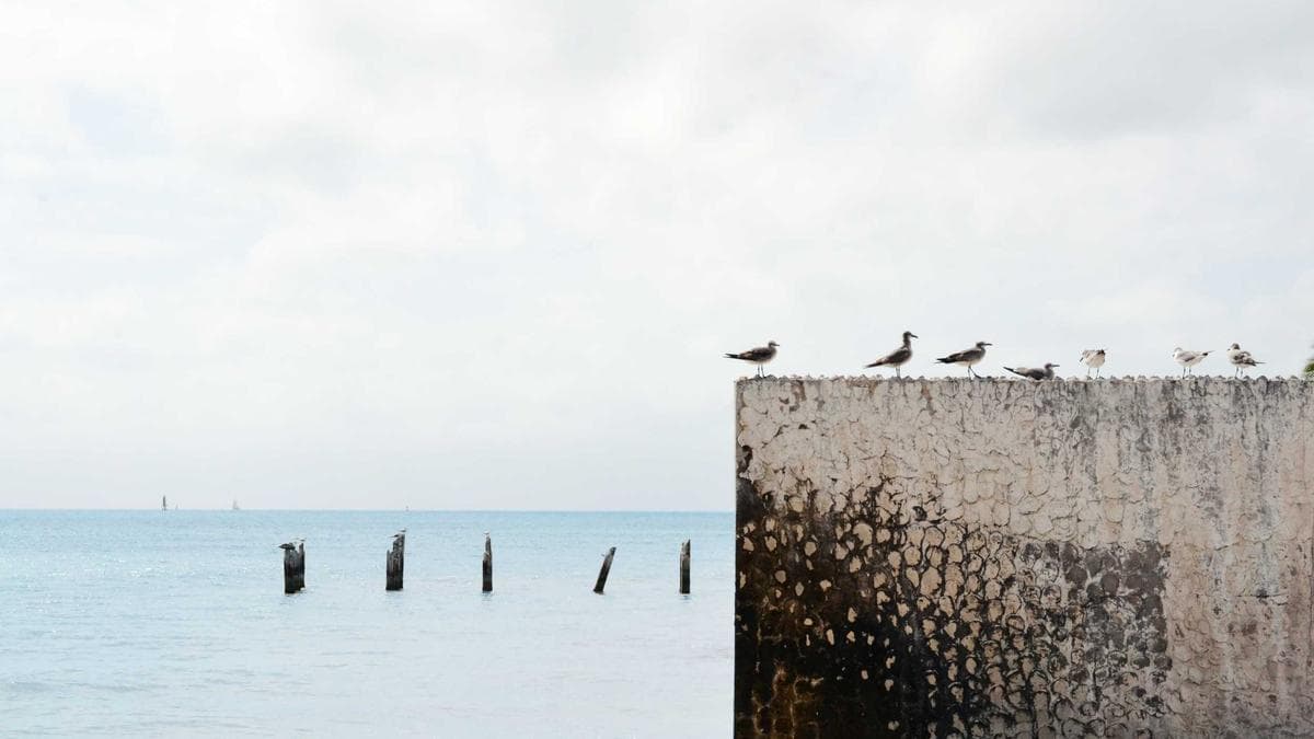 Life Drawing Düsseldorf – photo 2