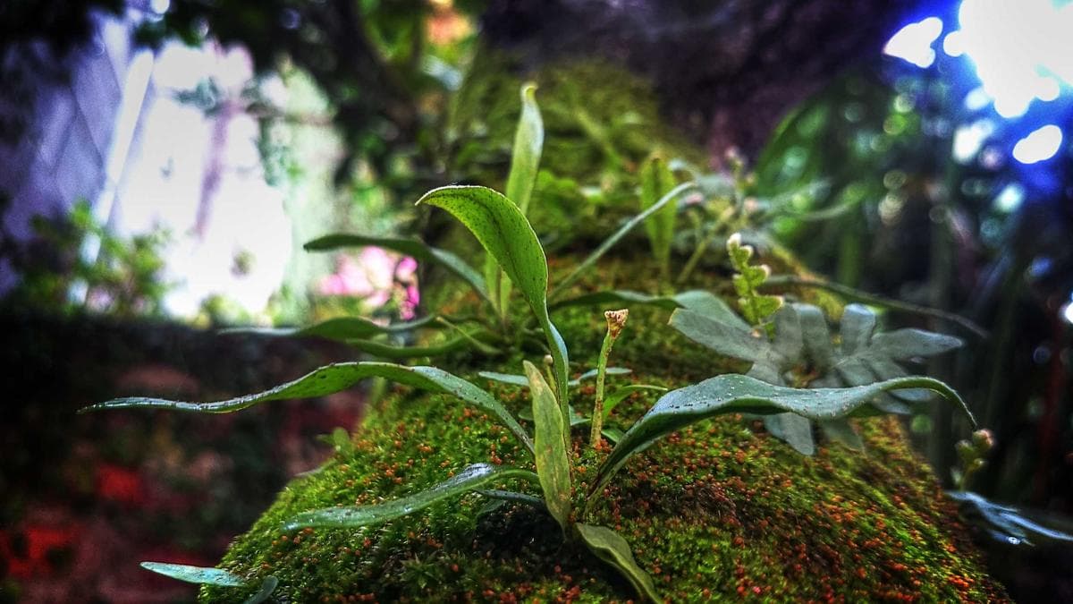 Urban Art Walk Düsseldorf – photo 2