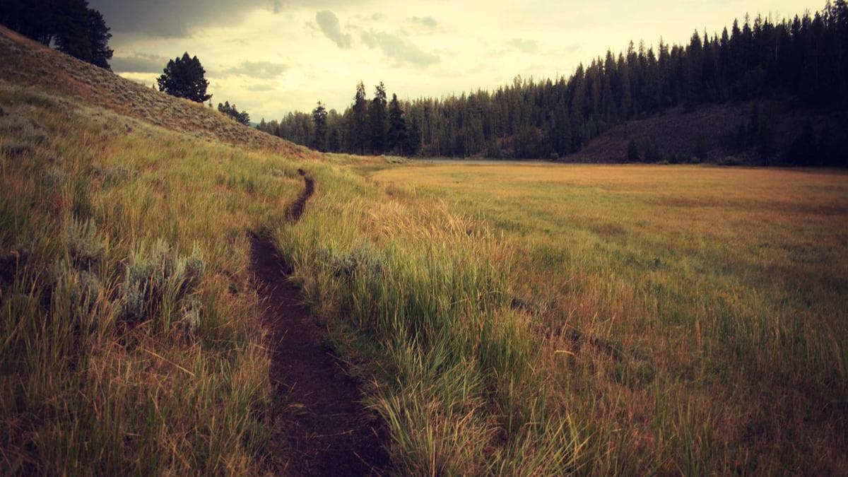 Rooftop Sundowner Düsseldorf