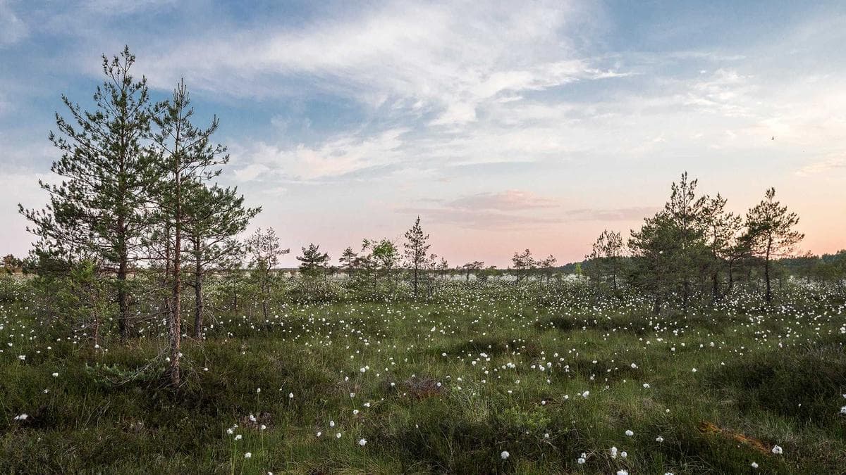 Jazz Night in Erfurt – photo 2