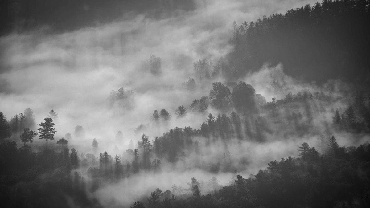 Beach Volleyball Cup Erfurt – photo 2