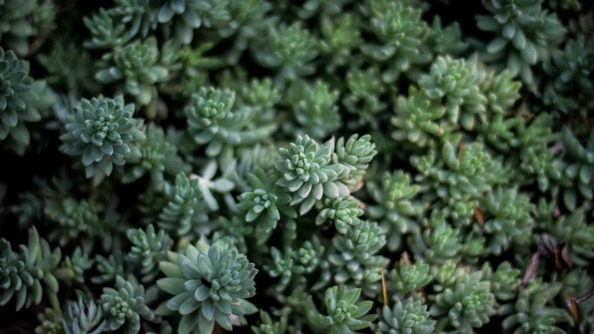 Campus Career Night Erfurt – photo 2