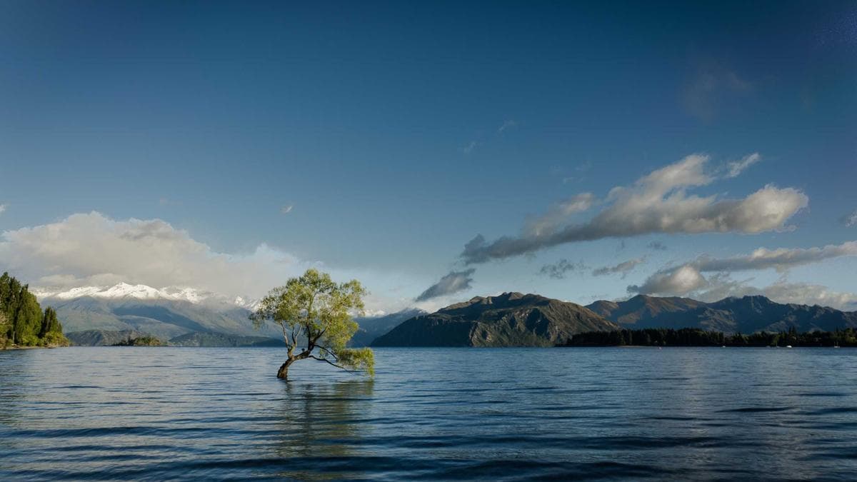Lesung und Gespräch in Frankfurt