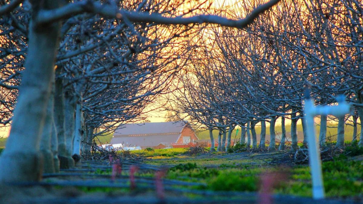 Kurzfilmabend Frankfurt – photo 2