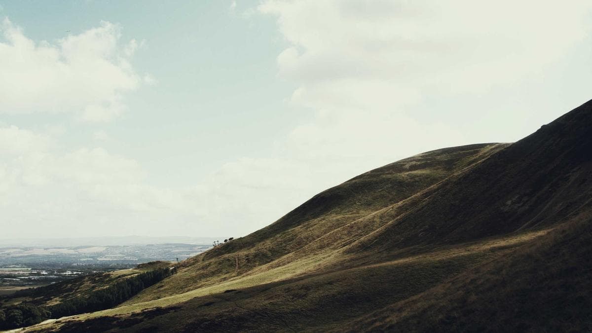 Wine Tasting Frankfurt – photo 2