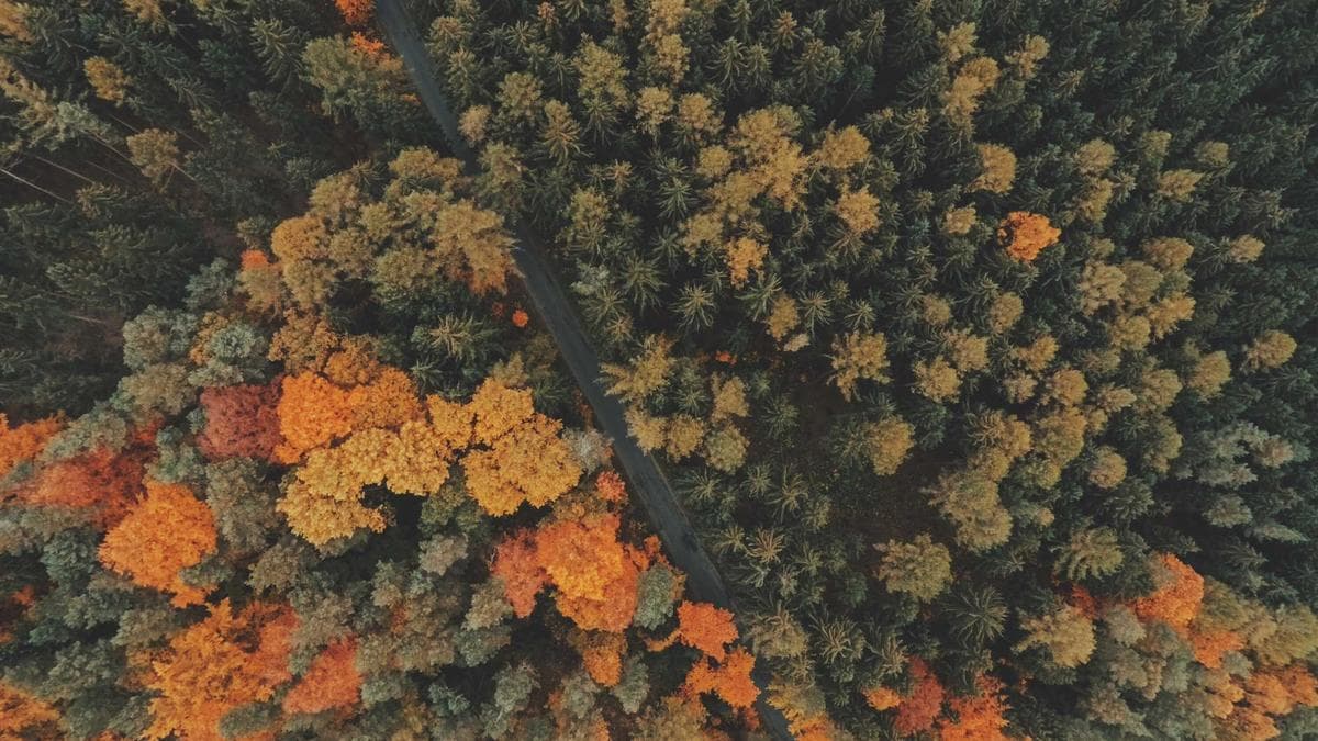 Rooftop Sundowner Frankfurt – Foto 2