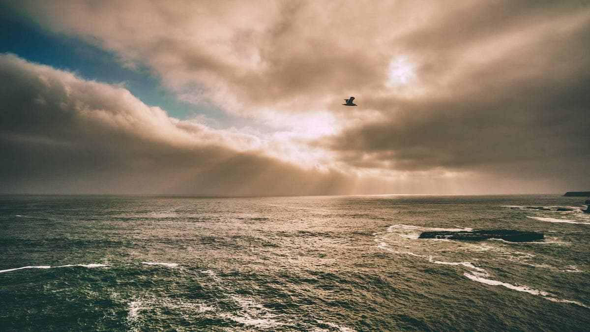 Aquarell Workshop Freiburg – photo 2