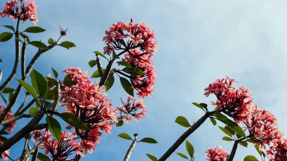Outdoor Fitness Session Freiburg – photo 2