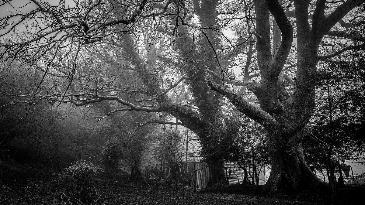 Rooftop Sundowner Görlitz