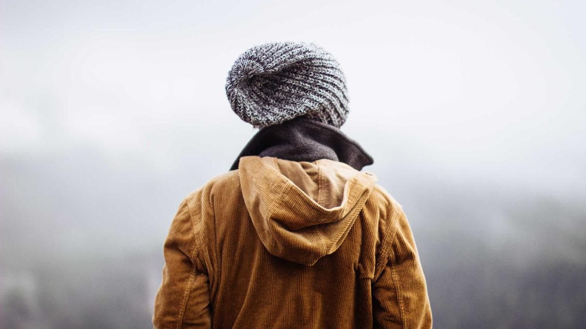 Electronic Sunset Greifswald – photo 2