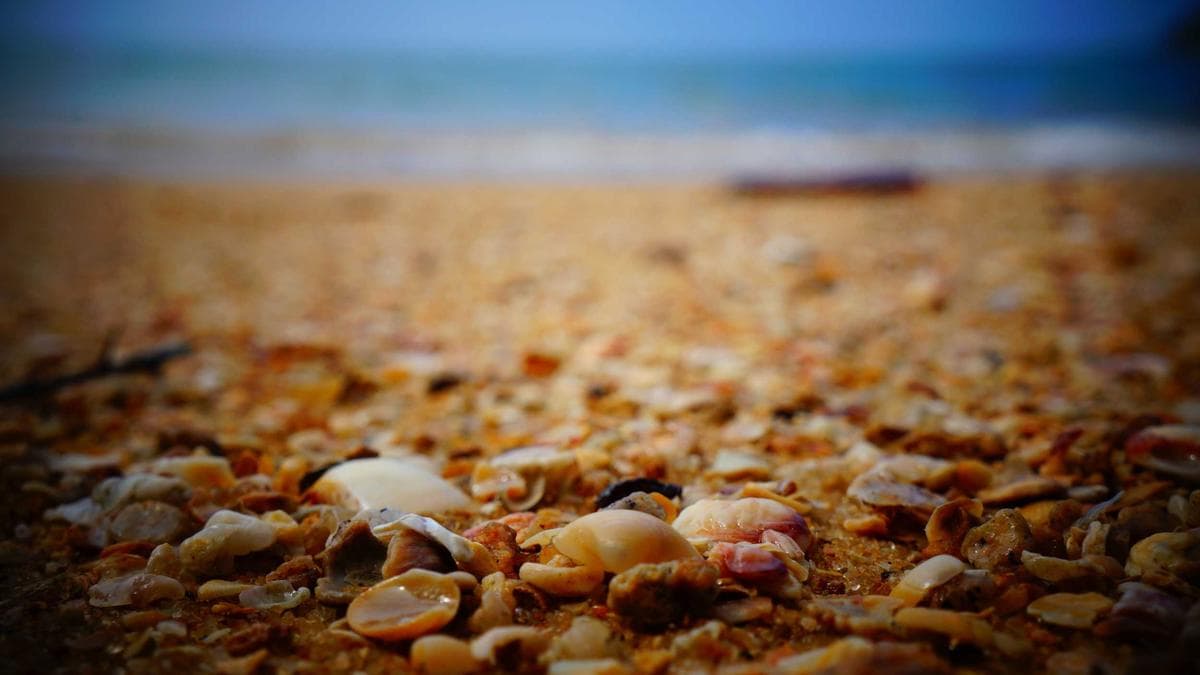 Salsa Social Hamburg – photo 2