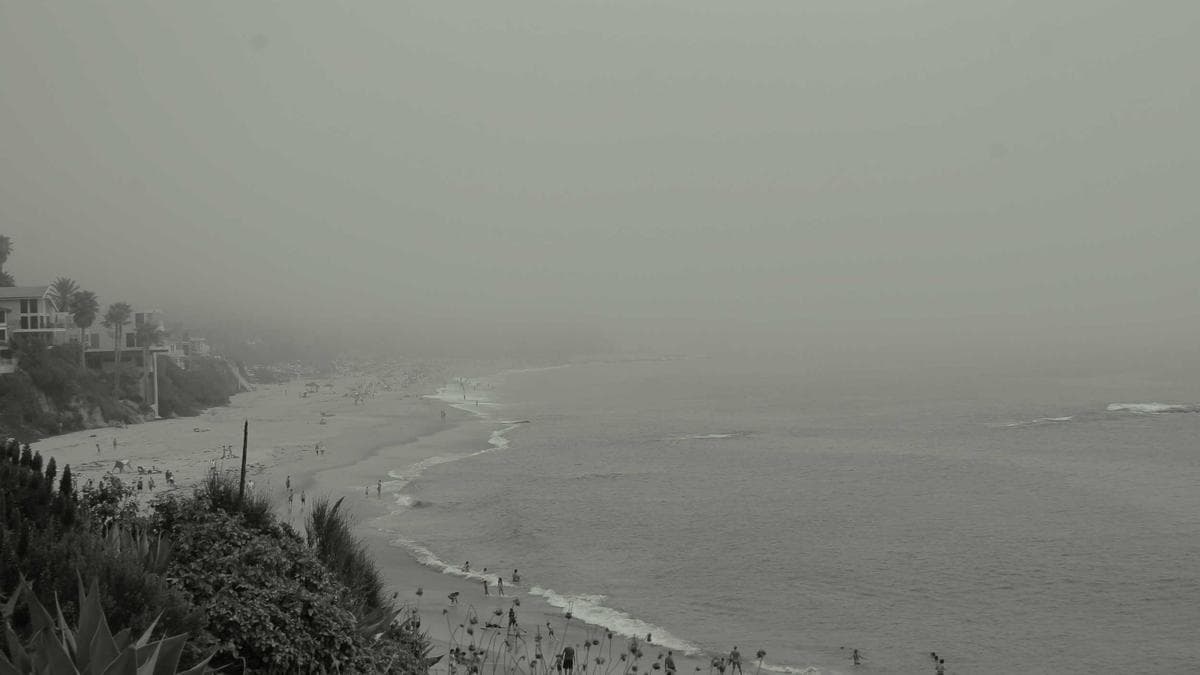 Wine Tasting Hamburg