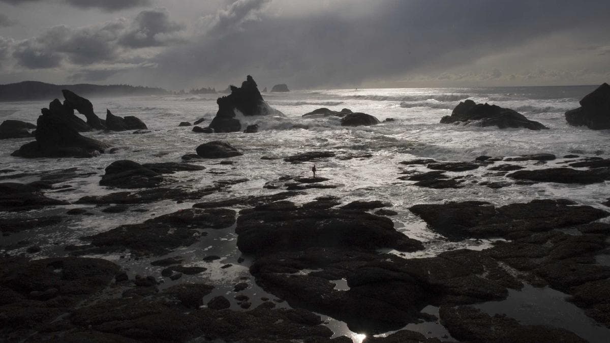 Rooftop Sundowner Hamburg