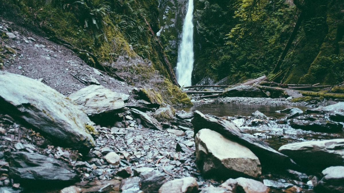 Salsa Social Hannover