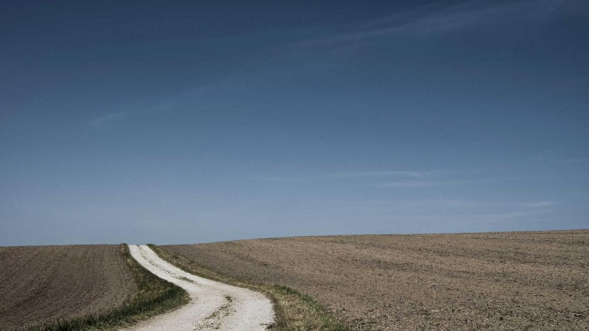 Contemporary Dance Lab Hannover – photo 2