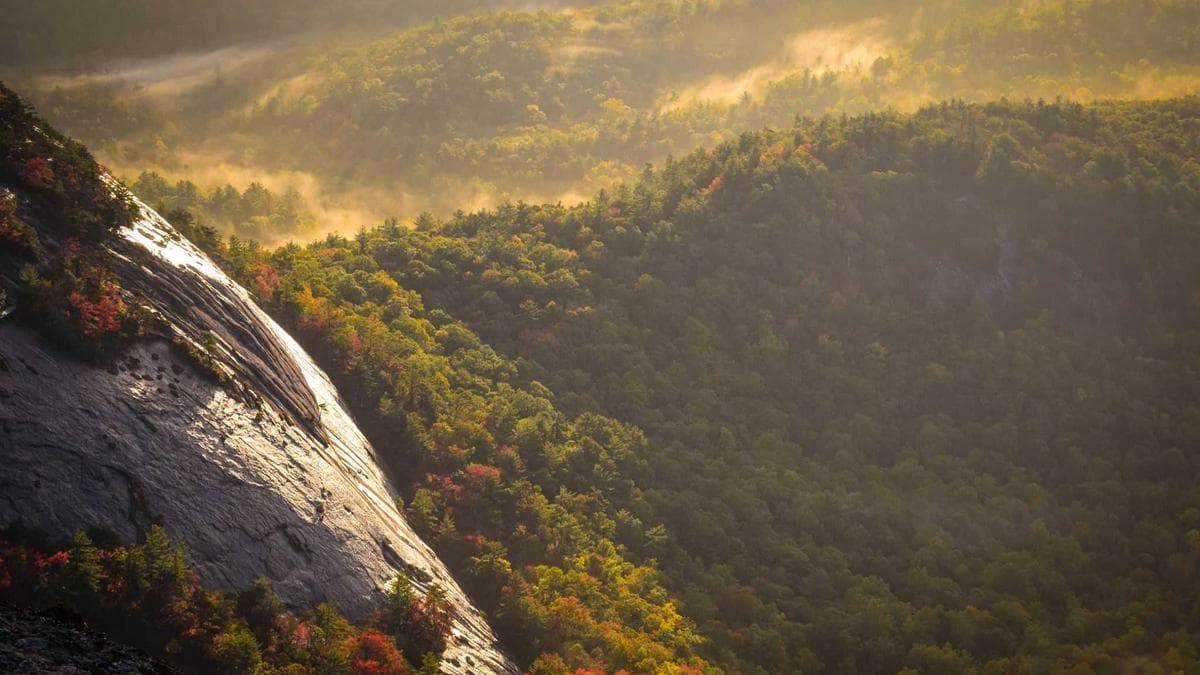 English Conversation Club Hannover – photo 2