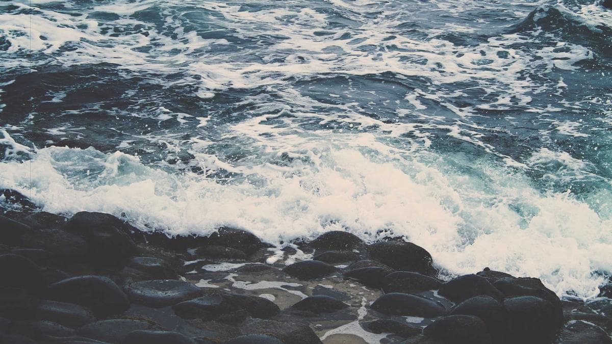 International Campus Meet Hannover – photo 2