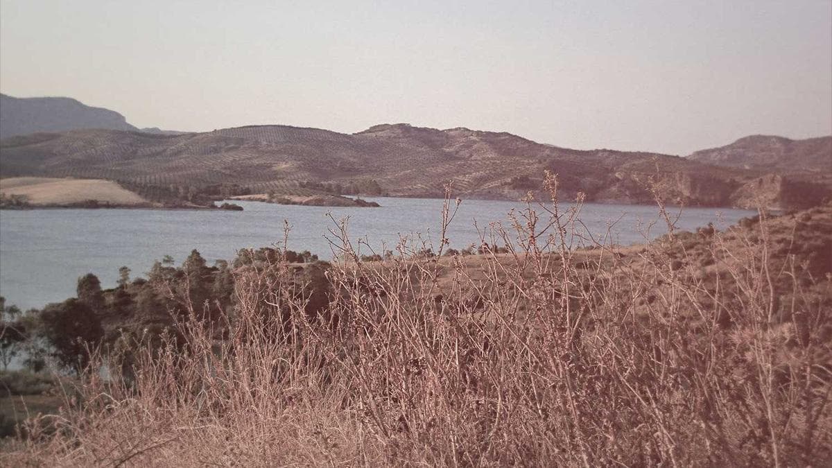 Campus Career Night Hannover