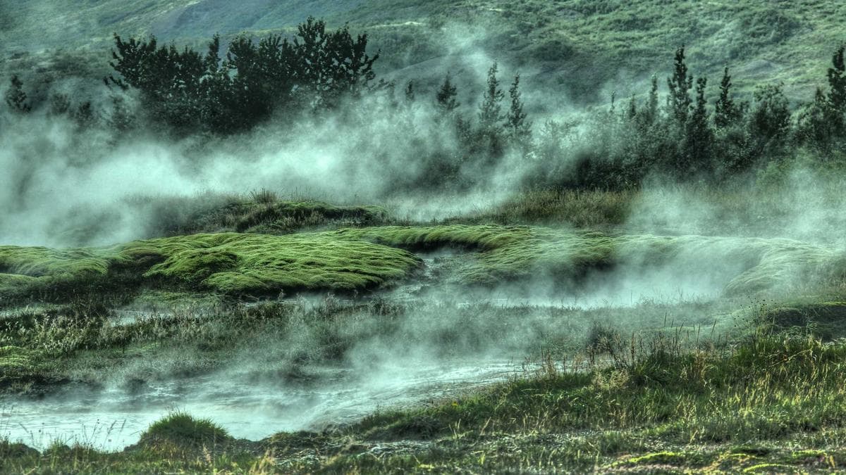 Stadtkultur Walk Heidelberg – photo 2