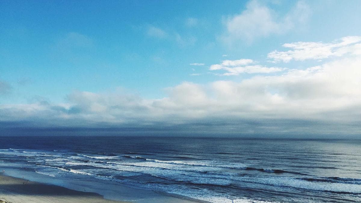 Study Skills Workshop Heidelberg