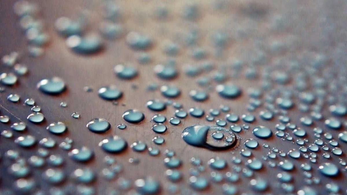 Wine Tasting Hildesheim – photo 2