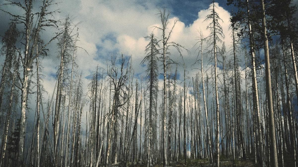 English Conversation Club Hildesheim