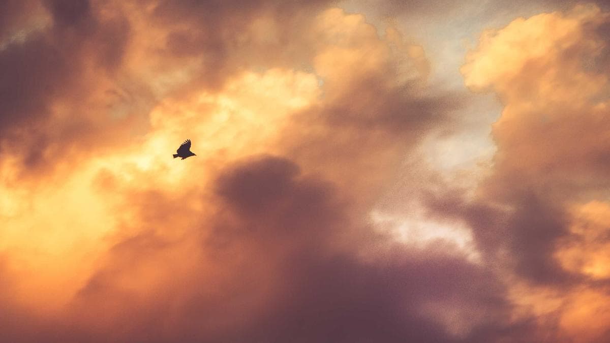 Rooftop Sundowner Hildesheim