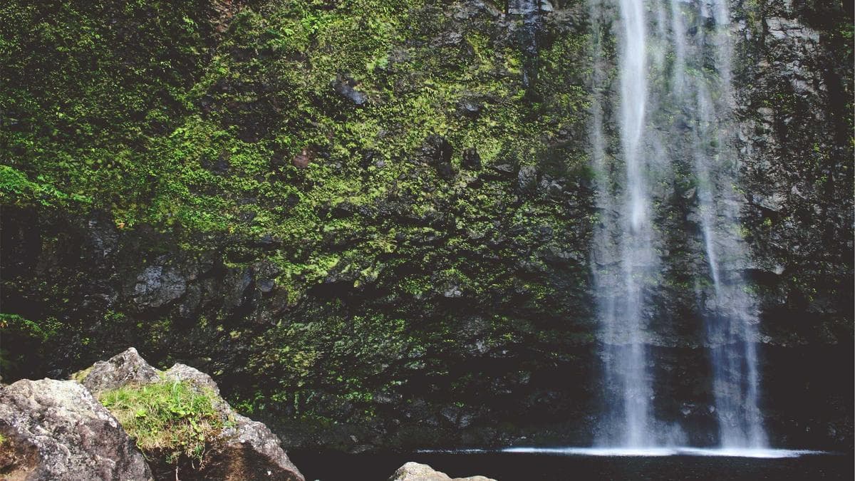 Community Garden Day Kassel – photo 2