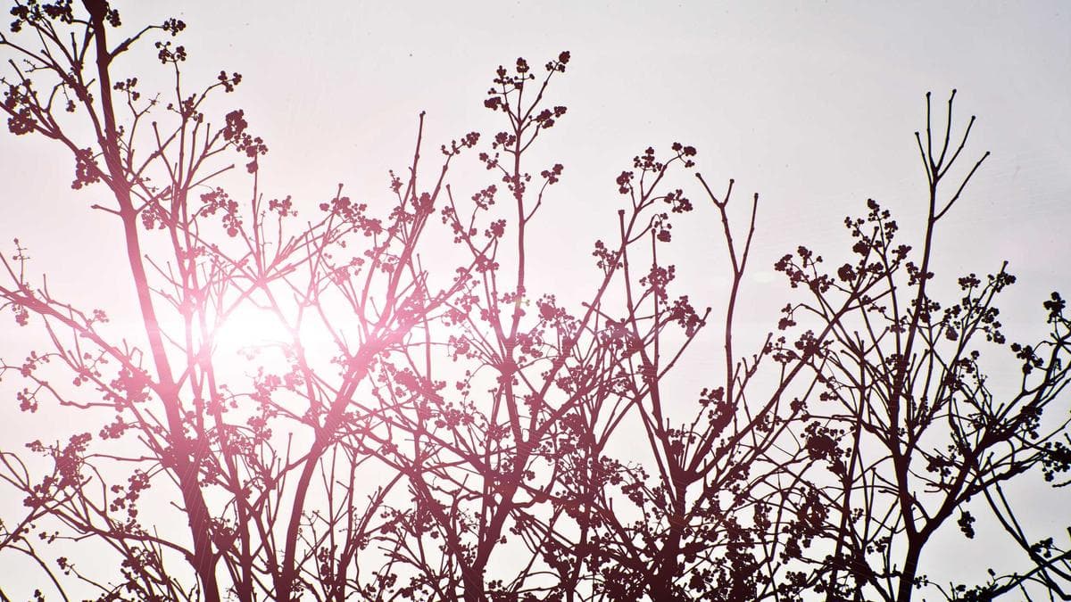 Kurzfilmabend Kassel