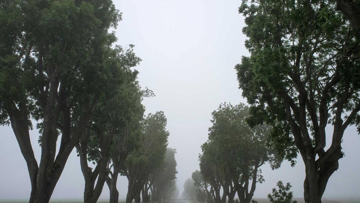 Founder Breakfast Kassel