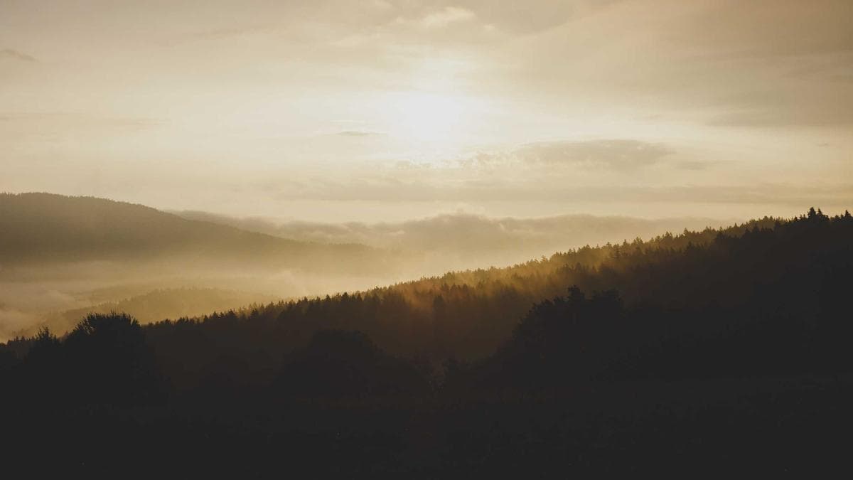 Deutsch Practice Circle Kiel – photo 2