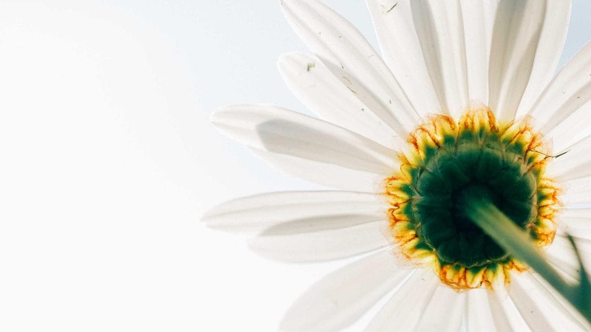 Tech Talks & Drinks Kiel – photo 2