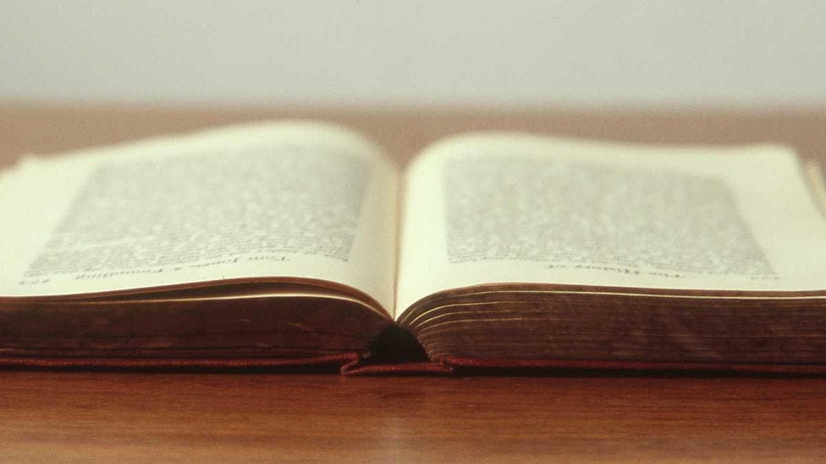 Kurzfilmabend Köln – photo 2